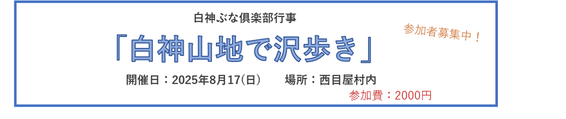 期間限定お知らせ情報