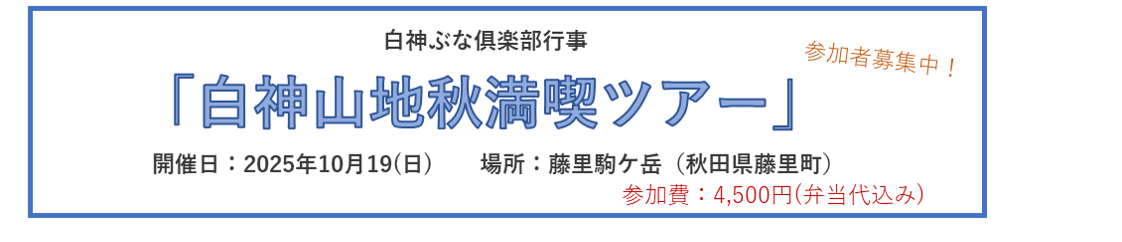期間限定お知らせ情報