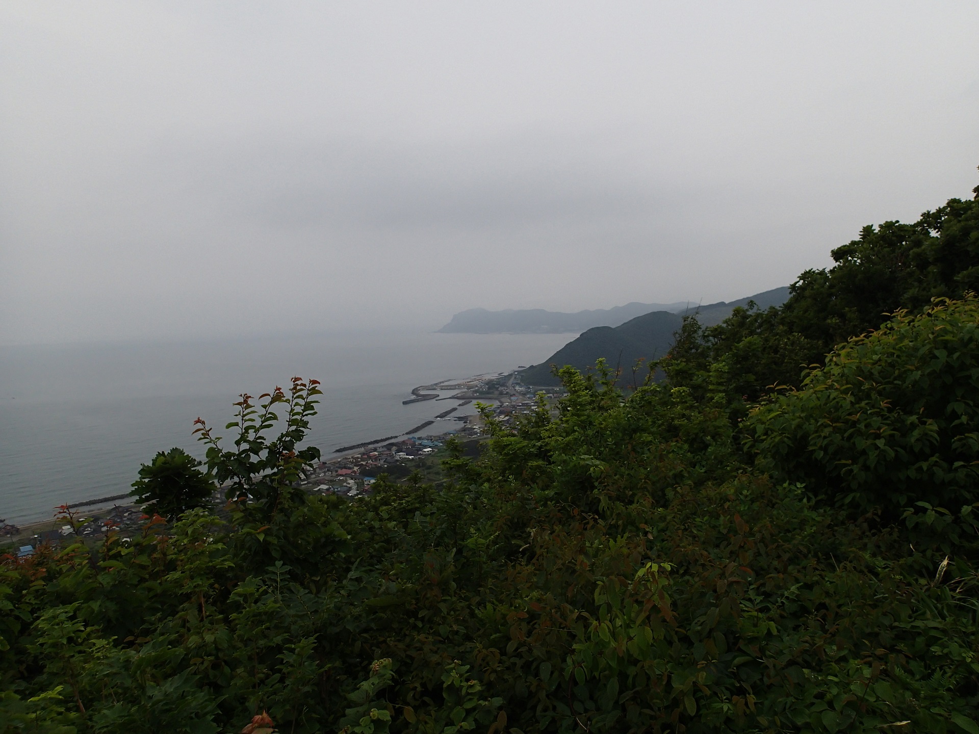 晴天時は権現崎や七里長浜が見渡せる。