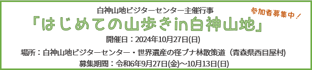 期間限定お知らせ情報