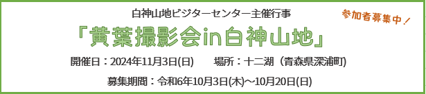 期間限定お知らせ情報