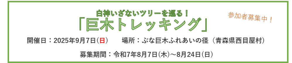 期間限定お知らせ情報