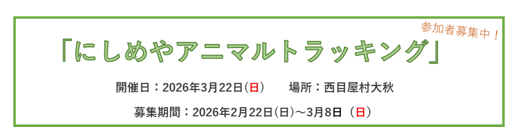 期間限定お知らせ情報