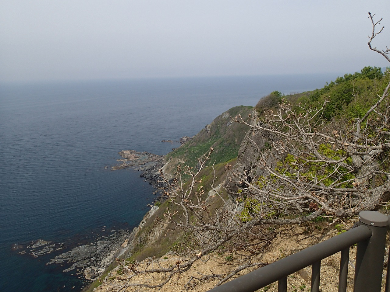 権現崎。ブナ林を抜けると日本海が広がり爽快である。
